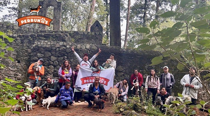 Caminata en el bosque con un grupo de personas y perros con Exploradores Perrunos