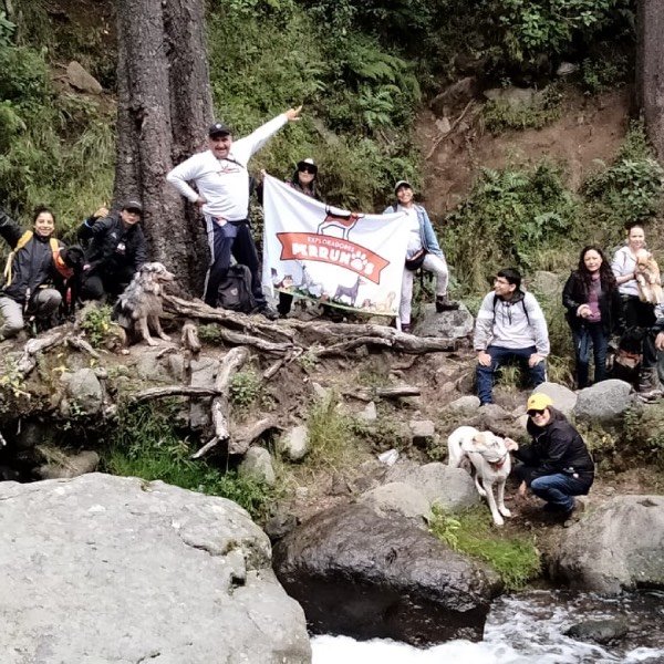 Equipo de Exploradores Perrunos en el bosque con sus perros