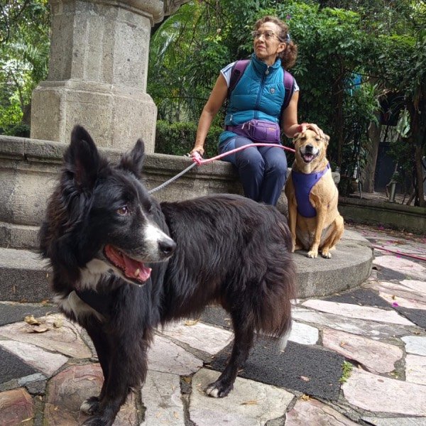Mujer sentada con sus dos perros café y negro