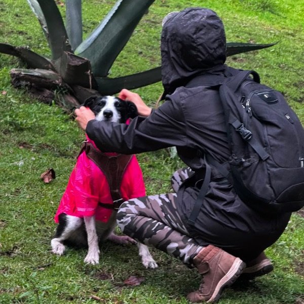 Mujer colocándole un impermeable rosa a su perro en el bosque